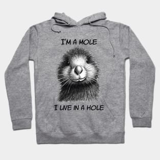 Mole In A Hole Hoodie